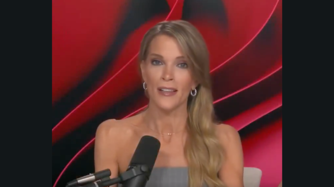 Megyn Kelly on Biggest Losers of the 2024 Election: From Taylor Swift to George Clooney “No One Cares What You Think” (Video) | The Gateway Pundit