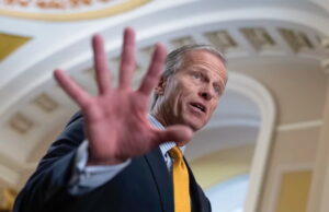 BREAKING : John Thune Elected Senate Majority Leader in Blow to MAGA Conservatives | The Gateway Pundit