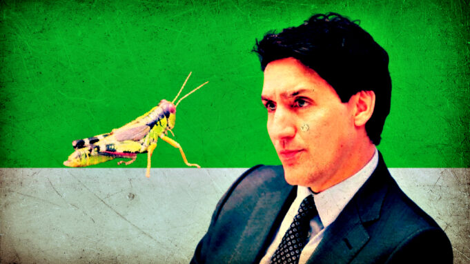Globalist Trudeau Went All in With Feeding Insects to Canadians – Embattled Prime Minister Blew $9 Million in Failed Edible Cricket Factory | The Gateway Pundit