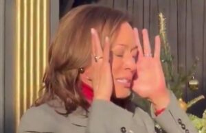 Kamala the Grinch: Failed Presidential Nominee Has Horrific Christmas Message for Dem Staffers | The Gateway Pundit
