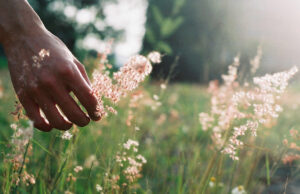 How Nature Will Help Us Heal in 2025