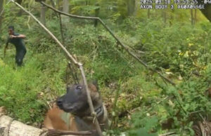 WATCH: Cop Hating NY Attorney General Letitia James Announces Investigation into Officer-Involved Shooting – Footage Shows Man Wanted for Stabbing Charging Officers With Knife Before Being Shot (GRAPHIC VIDEO) | The Gateway Pundit