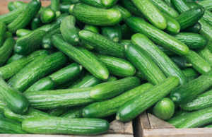 A Major Cucumber Recall is Happening That’s Linked to Salmonella