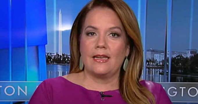 Mollie Hemingway Slams Activist Judges on Immigration: ‘They’re Saying, We Don’t Care Who Won the Election’ (VIDEO) | The Gateway Pundit