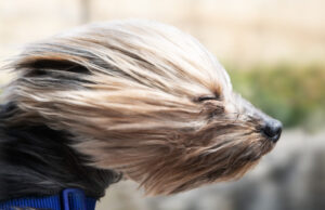 The AI war between Google and OpenAI has never been more heated