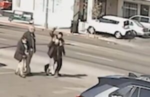 HORROR: ‘Hispanic Male’ Stabs Elderly Woman in Los Angeles in Broad Daylight Attack (VIDEO) | The Gateway Pundit