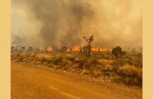 Richmond and Los Angeles Have Been Mugged By Reality | The Gateway Pundit
