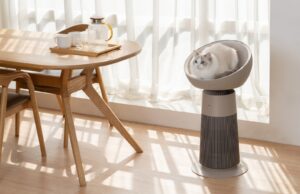 LG’s air purifying cat bed is one of the weirdest gadgets from CES