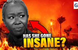 INSANE: Joy Reid Goes Off The Rails With WACKY Wildfire Conspiracy Theory | The Gateway Pundit