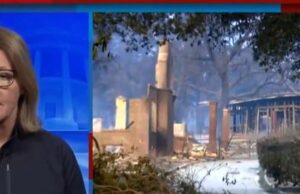 The Media Tries To Turn The LA Wildfires Into A Criticism Of Biden