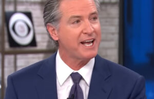 Newsom Orders “Independent Investigation” Into Lack of Water in Fire Hydrants After Los Angeles Burns | The Gateway Pundit