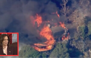 JUST IN: Palisades Wildfire Reaches Brentwood where Kamala Harris, Lebron James, and Arnold Schwarzenegger Live (VIDEO) | The Gateway Pundit