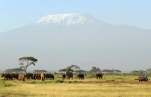 10 Reasons a Tanzanian Safari Should be on Your Bucket List