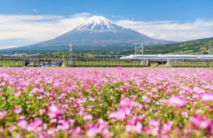 Tips for Traveling in Japan With Kids