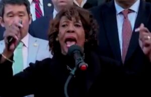 Unhinged Democrats Protest In Front of Treasury, Attack Musk, Call For Violence: “Goddammit! Shut Down the Senate… We are At War!” (VIDEO) | The Gateway Pundit