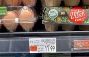 Trump’s Presidency Death Spirals When He’s Asked About Eggs