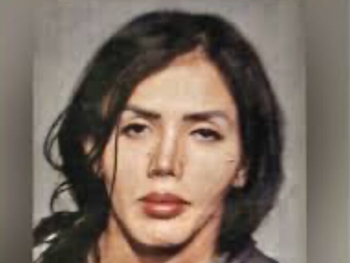 HORROR: Transgender Illegal Alien Arrested in New York For Raping Child in Public Bathroom | The Gateway Pundit