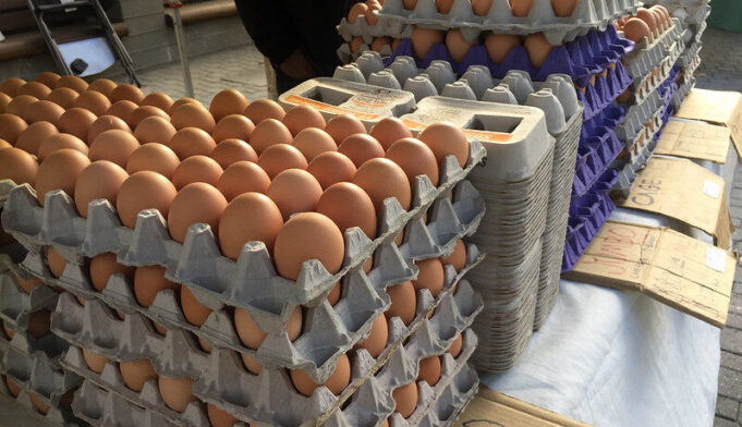 Trump’s DOJ Launches Investigation Into Soaring Egg Prices | The Gateway Pundit