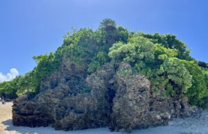 Ishigaki: The Southernmost Island of Okinawa