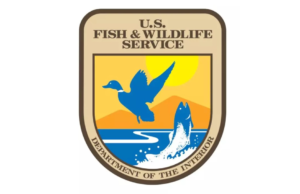 Poachers Brag About Their Haul to Fellow Airplane Passengers, Fail to Realize They’re Talking to Plainclothes Wildlife Officers | The Gateway Pundit