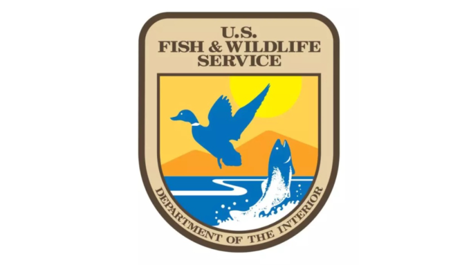 Poachers Brag About Their Haul to Fellow Airplane Passengers, Fail to Realize They’re Talking to Plainclothes Wildlife Officers | The Gateway Pundit