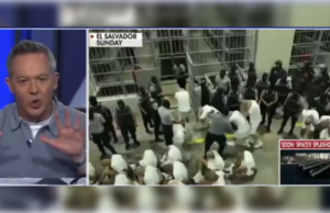 “Trump Is the Effing President of the United States Who Protects 300 Million People – Roberts, Shut the F-Up!” – Gutfeld Goes Off on Chief Justice and His Outrageous Public Comment (VIDEO) | The Gateway Pundit