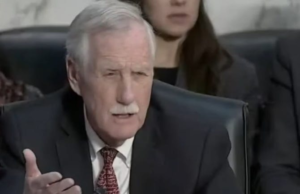 Senator Seems To Bust Tulsi Gabbard Lying To Congress About Classified Info In Data Breach