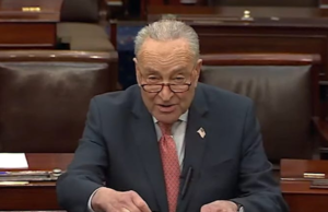 A Group Of Senate Democrats Spinelessly And Pathetically Cave To Trump