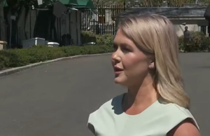 Reeling Trump White House Tries To Declare Signalgate Over