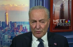 Chuck Schumer Delivers Muddled Message While Vowing To Fight Trump