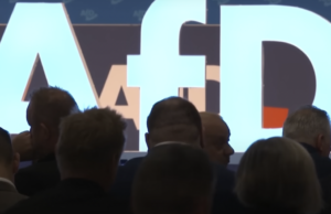 Germany: Anti-Democratic Globalist Extremist Green Party Pushes for AfD Ban, ‘Conservative’ CDU May Be On Board | The Gateway Pundit