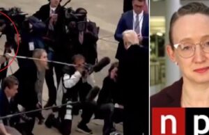 Far-Left NPR Reporter Who Hit Trump in the Face with Boom Mic Goes Radio Silent | The Gateway Pundit