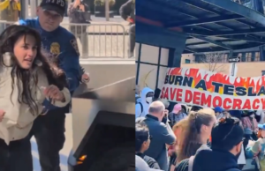 Elon Musk Responds to Calls for his Death and Burning Teslas at New York Protest Led by Democrat Officials: “The Organizers and Funders will be Found and Prosecuted” (VIDEO) | The Gateway Pundit