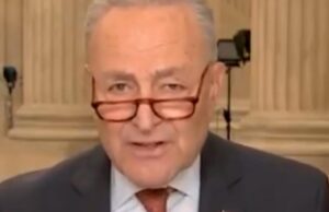 Elon Musk Calls Flashback Video of Chuck Schumer Arguing for Anti-Fraud Social Security Measures to ‘Disincentivize Flood of Illegals “Pure Gold” | The Gateway Pundit
