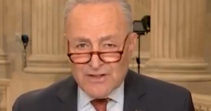 Elon Musk Calls Flashback Video of Chuck Schumer Arguing for Anti-Fraud Social Security Measures to ‘Disincentivize Flood of Illegals “Pure Gold” | The Gateway Pundit