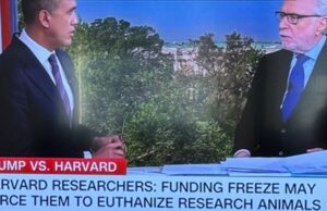 Harvard Researchers Whine That Trump’s Funding Freeze Will Force Them to Euthanize Animals Before They Can Torture Them | The Gateway Pundit