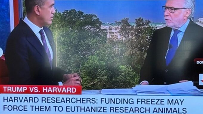 Harvard Researchers Whine That Trump’s Funding Freeze Will Force Them to Euthanize Animals Before They Can Torture Them | The Gateway Pundit