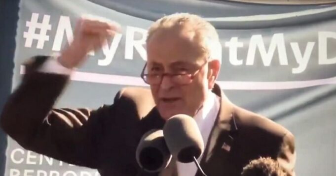 Chuck Schumer Claims Trump is Trying to Intimidate Judges – Forgets That He Threatened Members of SCOTUS in 2020 (VIDEO) | The Gateway Pundit