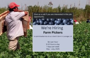 “Happy Now MAGA?” They ask… And the Answer is “Yes” | The Gateway Pundit