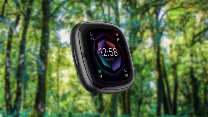 Fitbit users are losing a key Google feature, but Amazon can help