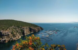 A 7-Day Trip – Travel Dudes