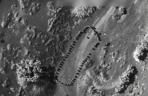 Trump Posts Video: ‘Houthis’ Gather for ‘Instructions,’ Seconds Later There’s Just a Crater Where They Stood | The Gateway Pundit