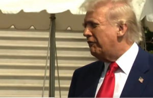 Deranged Trump Says Things Are Going Really Well As US Economy Burns