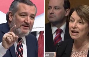 WATCH: Senate Hearing Goes Completely Off the Rails When Ted Cruz Triggers Amy Klobuchar After Calling Democrats “The Party of Murderers and R*pists” | The Gateway Pundit