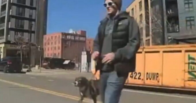 Member of Tim Walz Administration Arrested in Minnesota After Keying a Tesla While Walking His Dog (VIDEO) | The Gateway Pundit