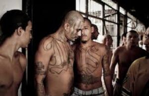 BREAKING: Three Virginia Dept. of Corrections Officers Stabbed in State Prison in Premeditated Attack Involving Five MS-13 Illegal Alien Gang Members | The Gateway Pundit