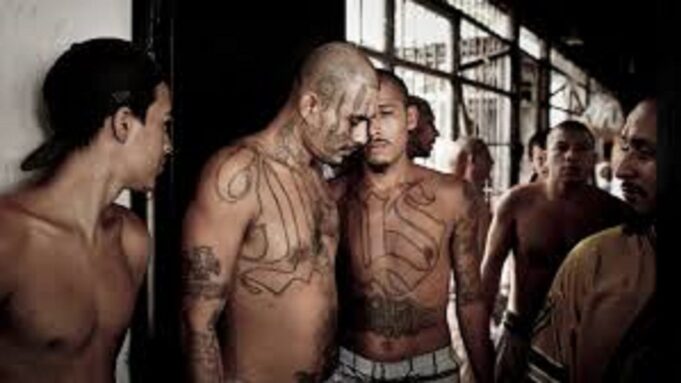 BREAKING: Three Virginia Dept. of Corrections Officers Stabbed in State Prison in Premeditated Attack Involving Five MS-13 Illegal Alien Gang Members | The Gateway Pundit