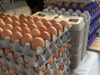 U.S. Egg Prices PLUMMET 12.7% — Biggest Monthly Drop Since 1984 | The Gateway Pundit