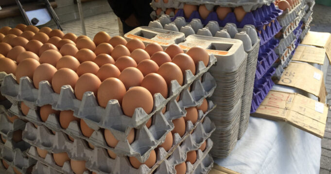 U.S. Egg Prices PLUMMET 12.7% — Biggest Monthly Drop Since 1984 | The Gateway Pundit