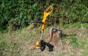 LawnMaster MX 24V Cordless Grass Trimmer Review